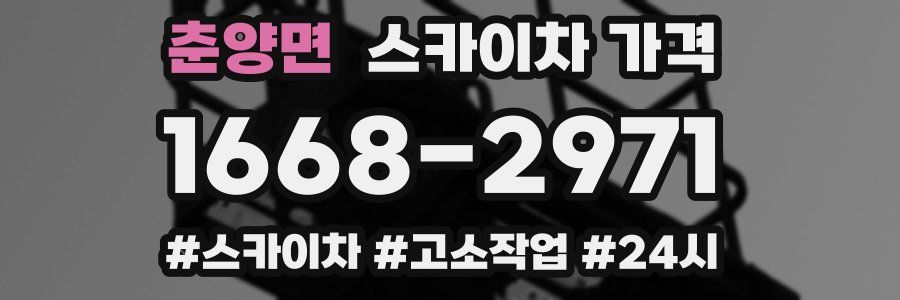 춘양면 스카이차 가격