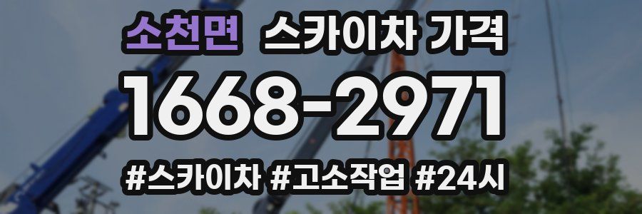 소천면 스카이차 가격