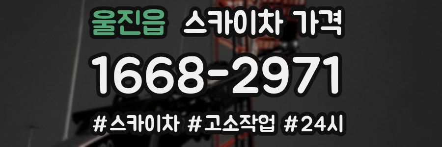 울진읍 스카이차 가격