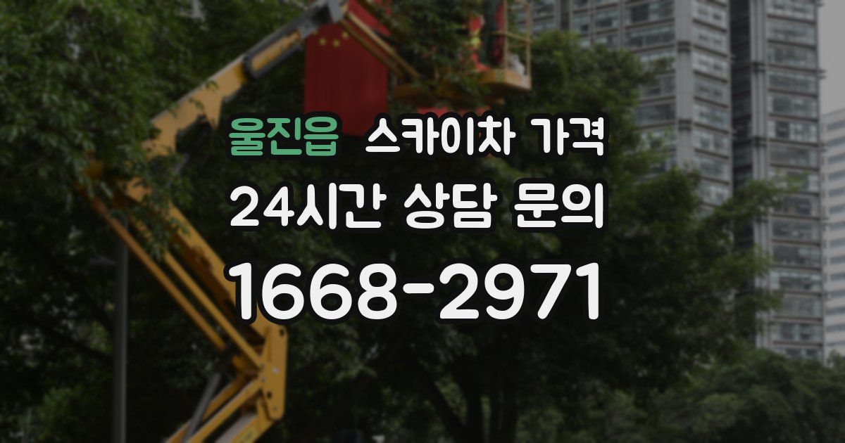 울진읍 스카이차 가격