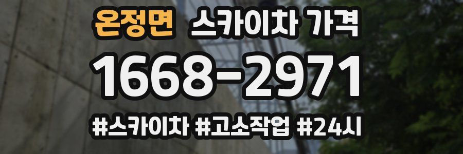 온정면 스카이차 가격