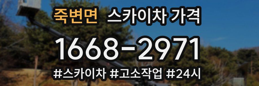 죽변면 스카이차 가격