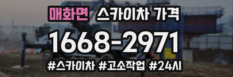 매화면 스카이차 가격