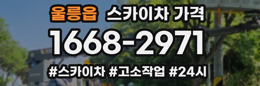 울릉읍 스카이차 가격