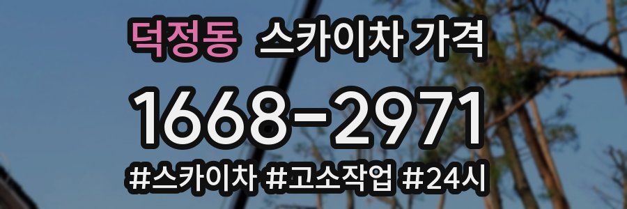 덕정동 스카이차 가격