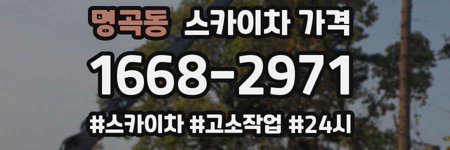 명곡동 스카이차 가격