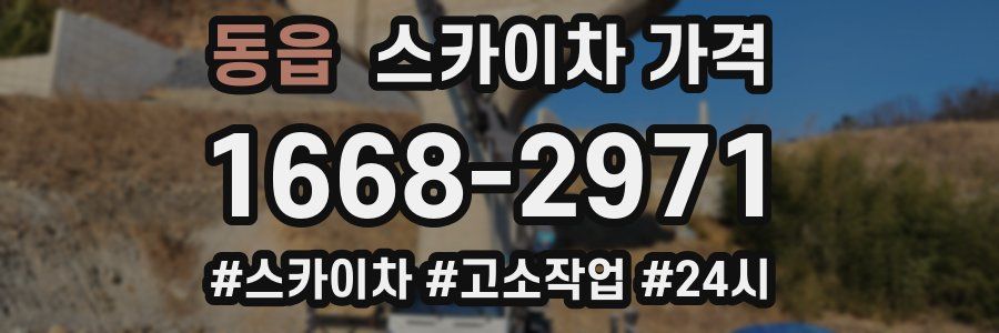 동읍 스카이차 가격