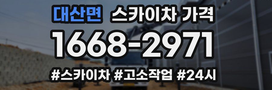 대산면 스카이차 가격