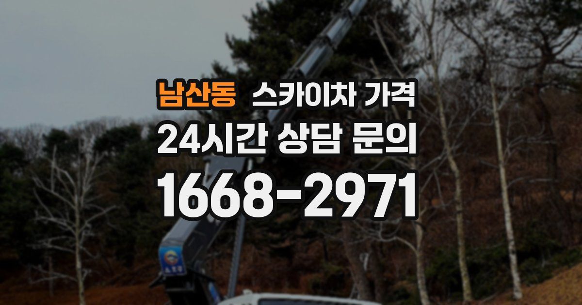 남산동 스카이차 가격