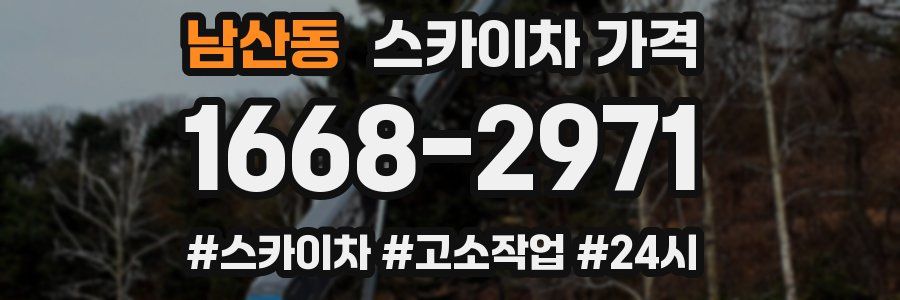 남산동 스카이차 가격