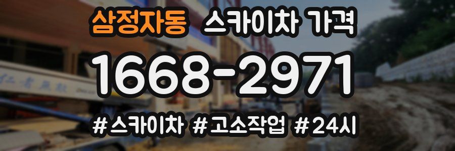 삼정자동 스카이차 가격