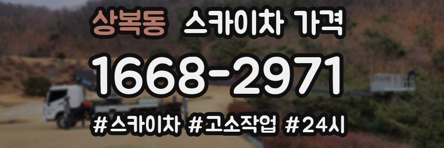 상복동 스카이차 가격