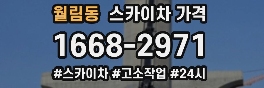 월림동 스카이차 가격