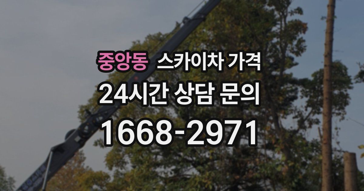 중앙동 스카이차 가격