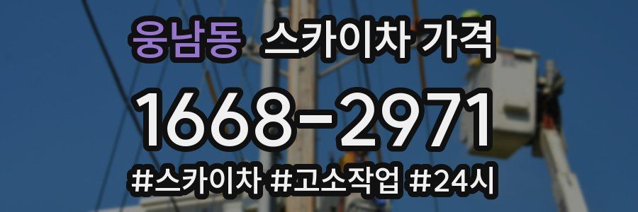 웅남동 스카이차 가격