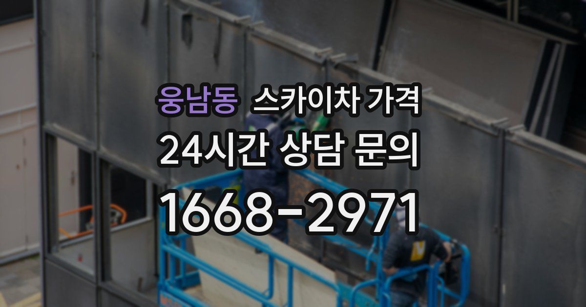 웅남동 스카이차 가격