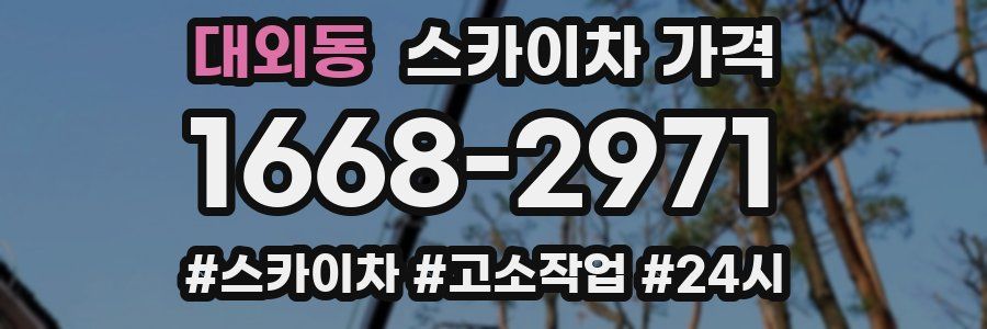 대외동 스카이차 가격