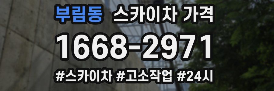 부림동 스카이차 가격