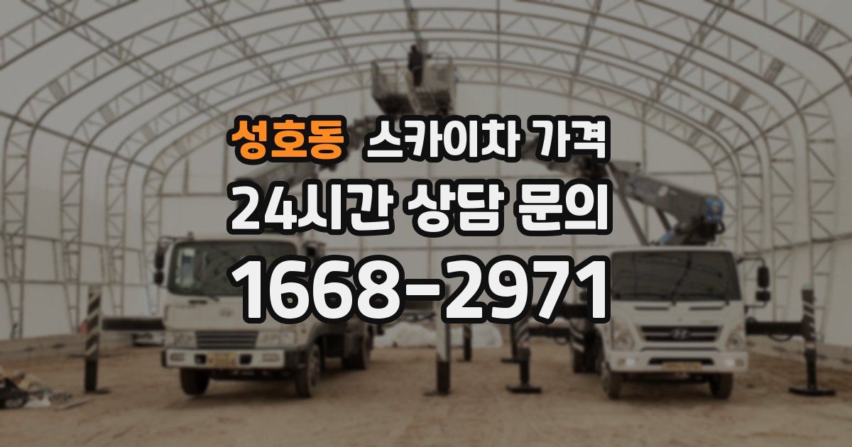 성호동 스카이차 가격