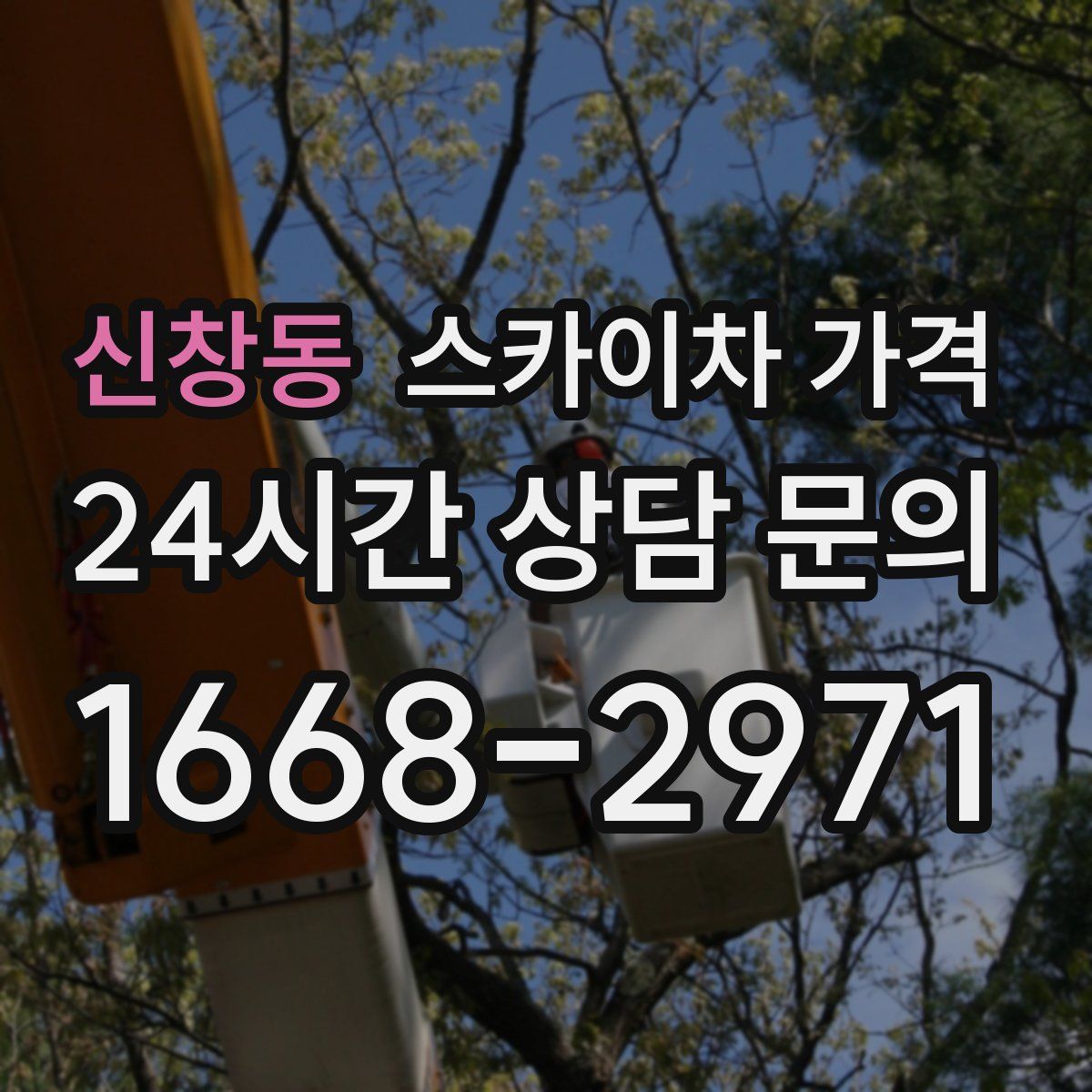 신창동 스카이차 가격