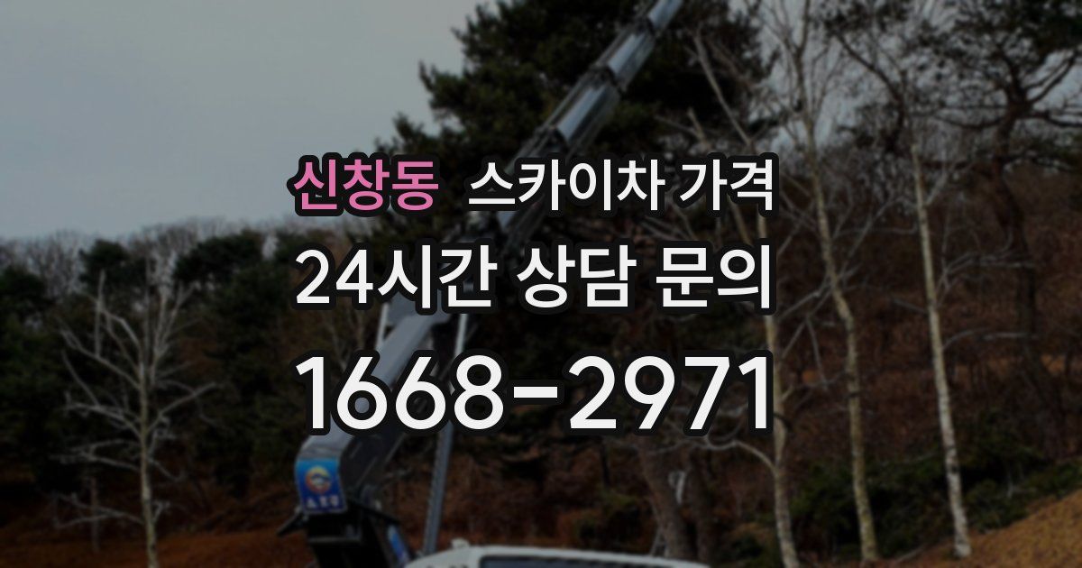 신창동 스카이차 가격