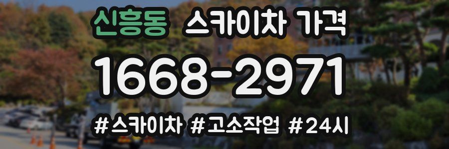 신흥동 스카이차 가격