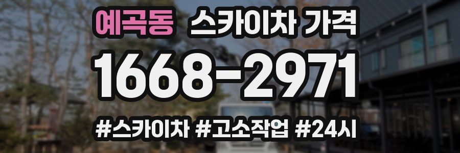 예곡동 스카이차 가격