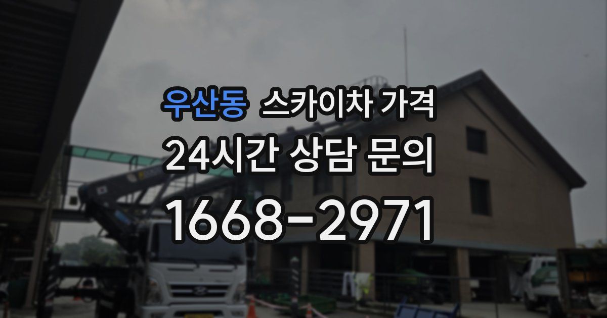 우산동 스카이차 가격