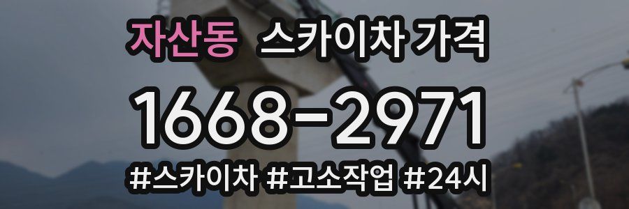 자산동 스카이차 가격