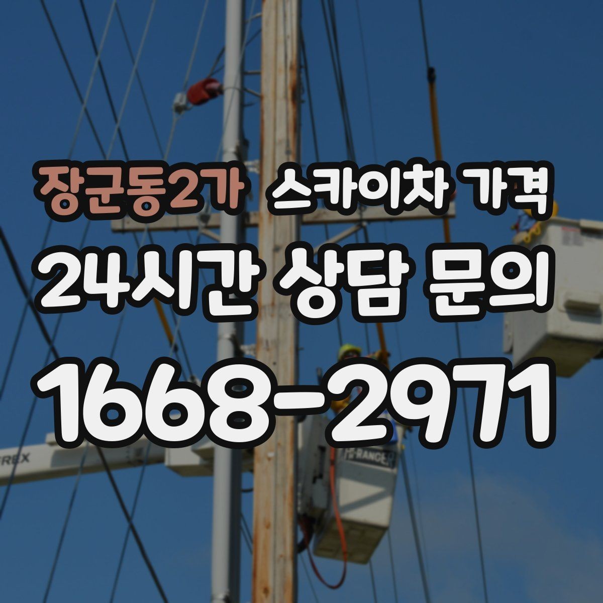장군동2가 스카이차 가격 수목 전정은 작업 구역이 넓으면 달라질까