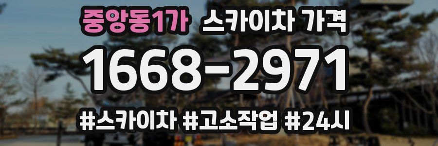 중앙동1가 스카이차 가격