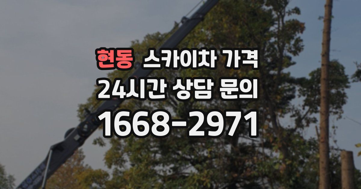 현동 스카이차 가격