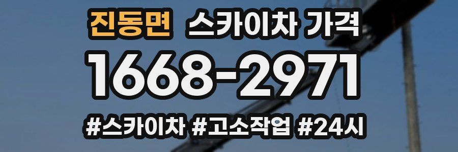 진동면 스카이차 가격