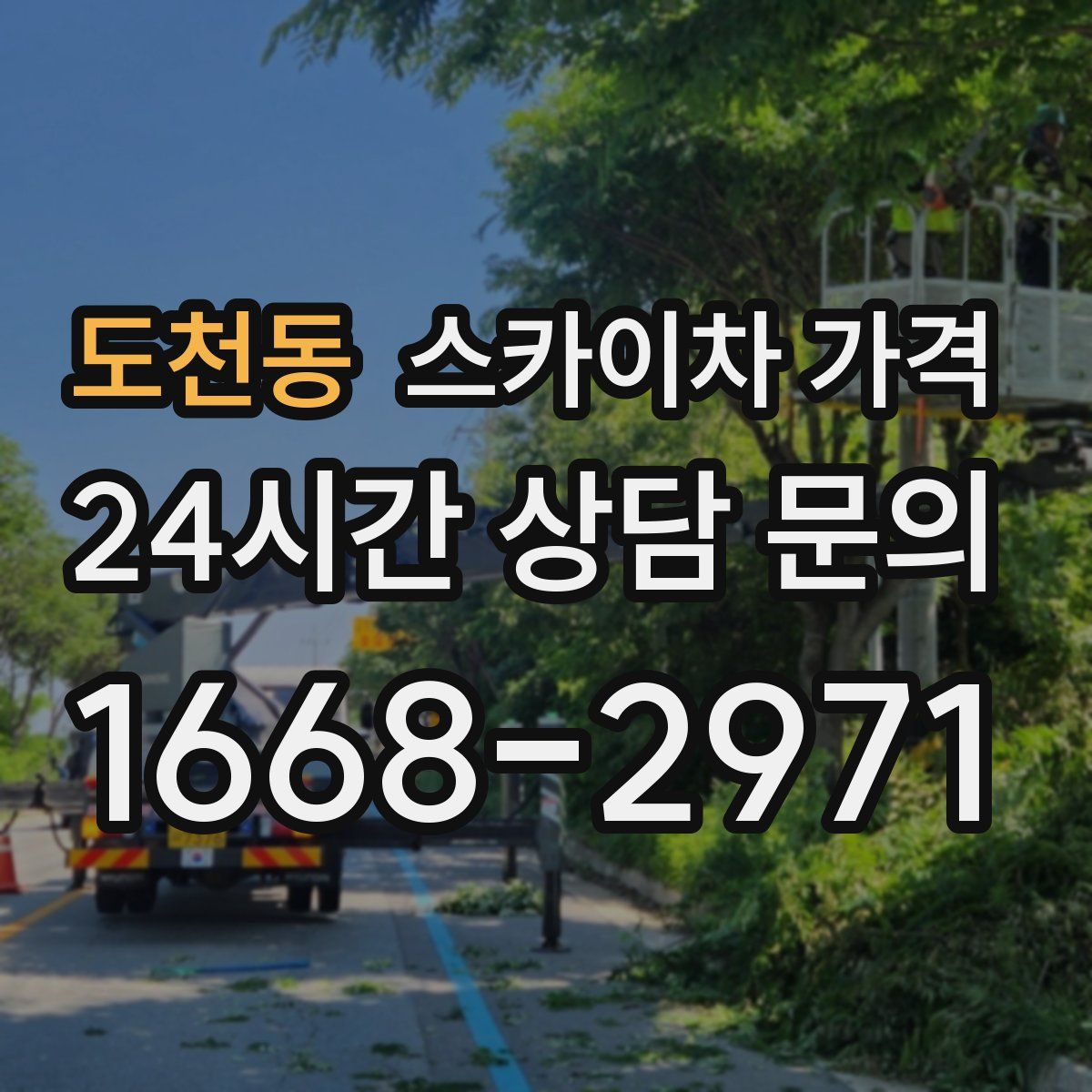 도천동 스카이차 가격