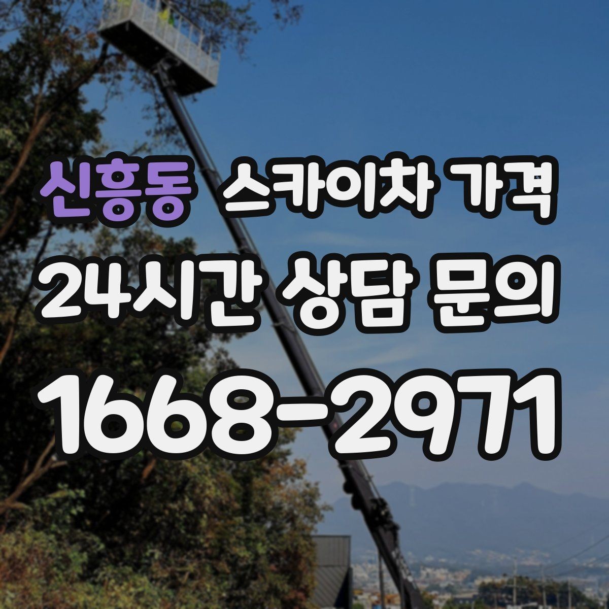 신흥동 스카이차 가격 가로수·간판·전선이 동선을 막을 때