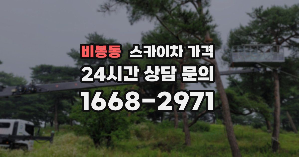 비봉동 스카이차 가격