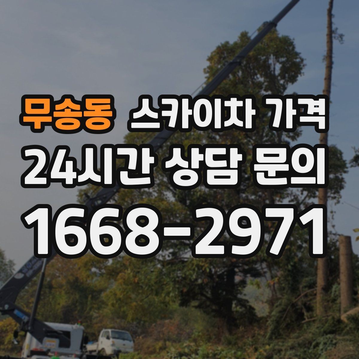 무송동 스카이차 가격 문의 전에 정리하면 좋은 정보 리스트