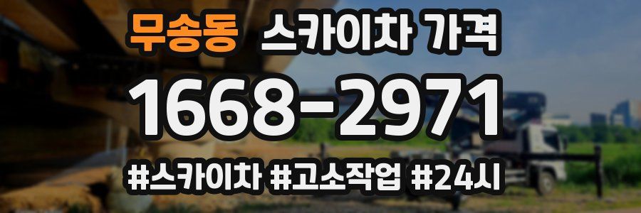 무송동 스카이차 가격