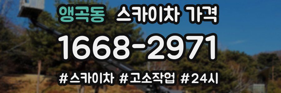 앵곡동 스카이차 가격