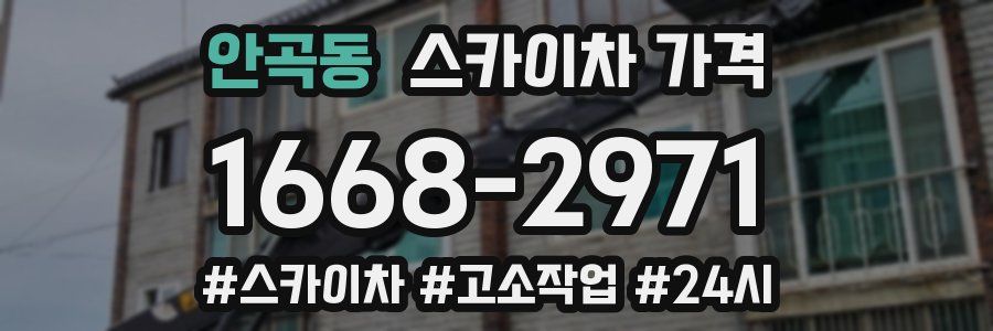 안곡동 스카이차 가격