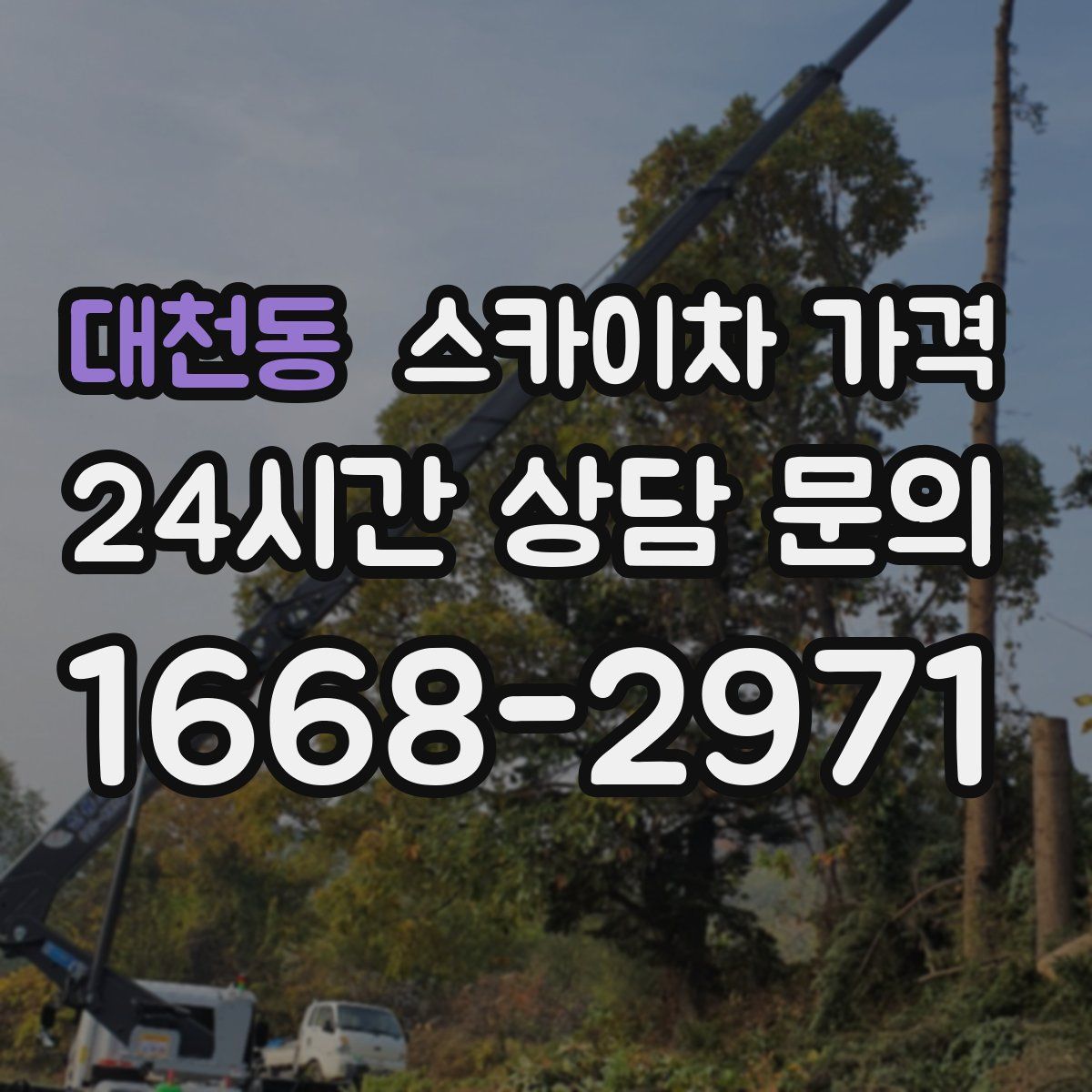 대천동 스카이차 가격