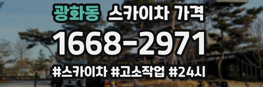 광화동 스카이차 가격