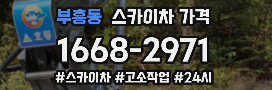 부흥동 스카이차 가격