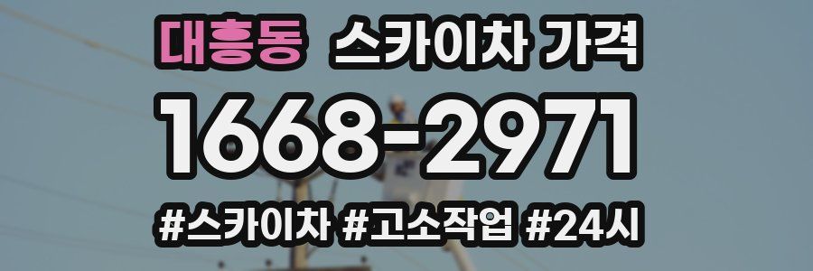 대흥동 스카이차 가격