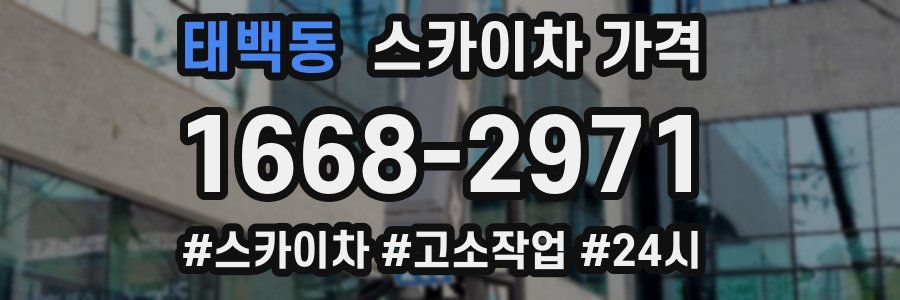 태백동 스카이차 가격