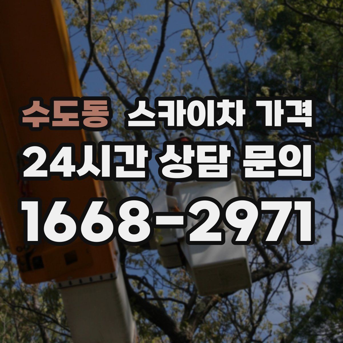 수도동 스카이차 가격 통신선 처짐 정리는 구간 수가 중요합니다