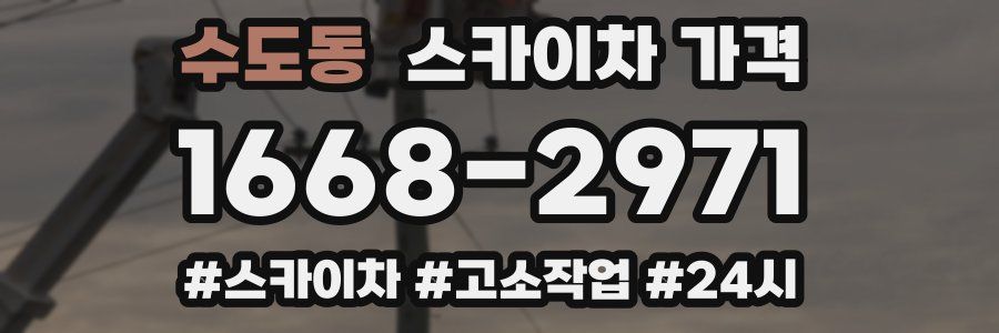 수도동 스카이차 가격