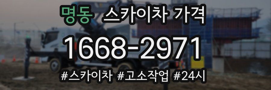 명동 스카이차 가격