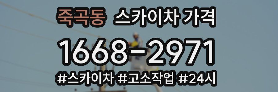 죽곡동 스카이차 가격