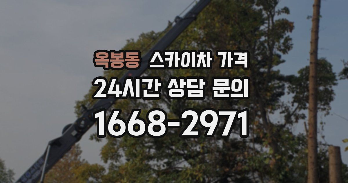 옥봉동 스카이차 가격